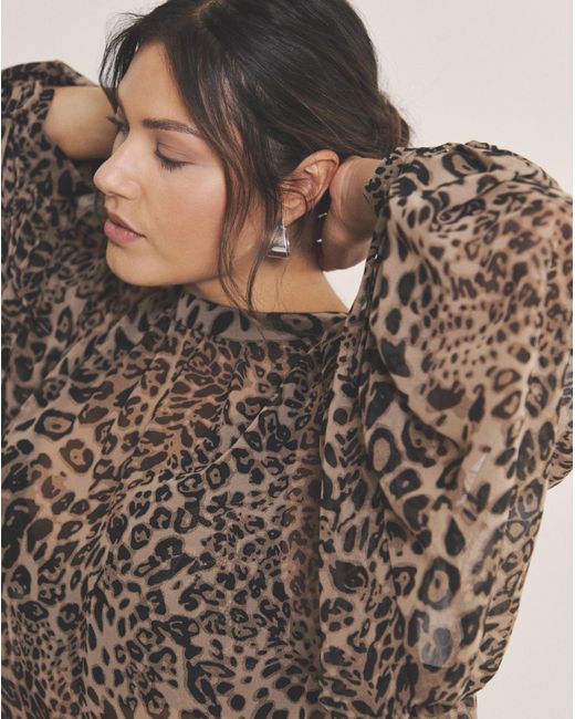 Simply Be Brown Georgette High Neck Blouse