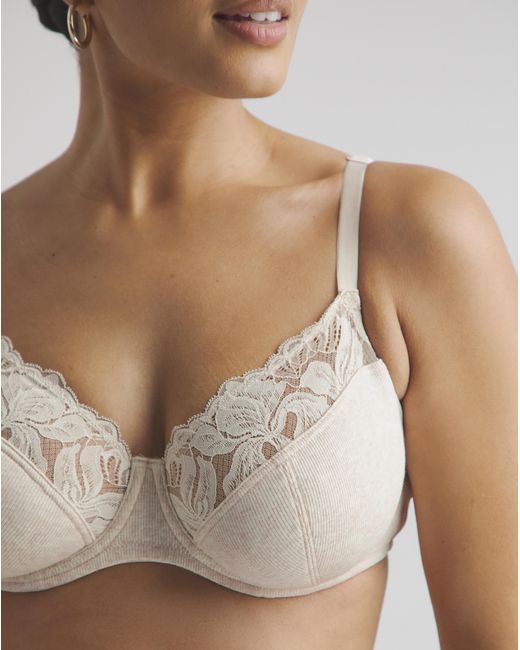 Pretty Secrets Brown 3 Pack Lace Full Cup Bras