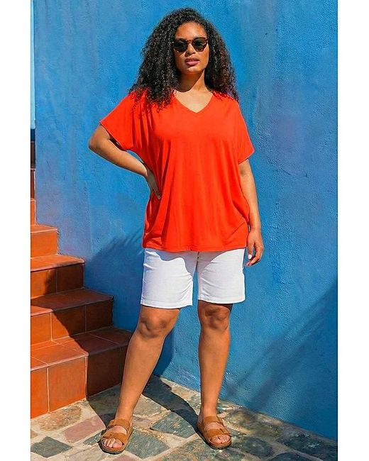 Roman Curve Blue V-Neck Stretch Top