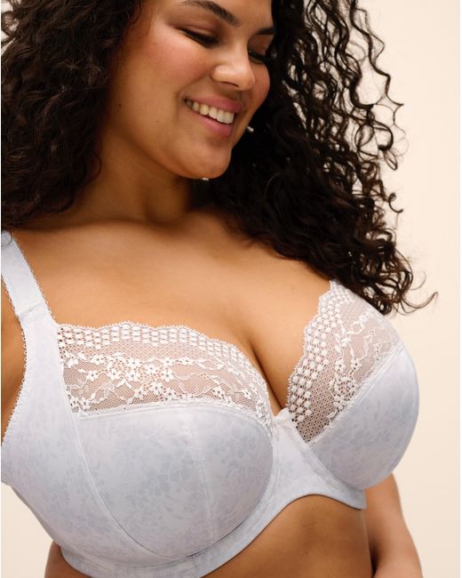 Elomi Blue Lucie Plunge Wired Bra