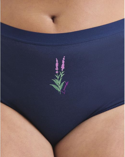 Pretty Secrets Blue 7 Pack Full Fit Knickers