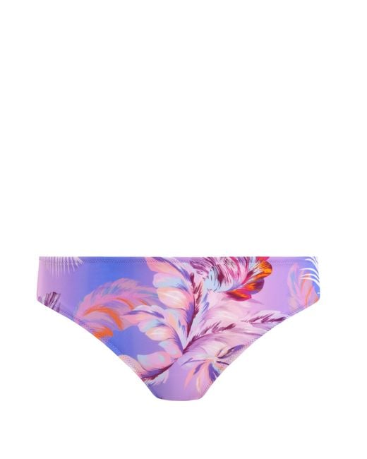 Freya Purple Miami Sunset Bikini Brief