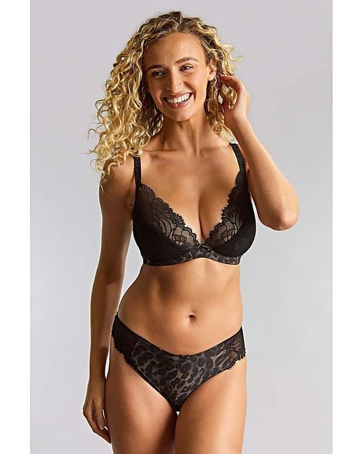 Panache Brown Cherie Demi Wired Bra