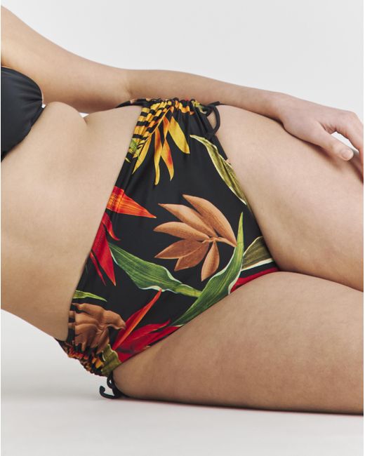 Fantasie Pink Pichola Hi Waist Bikini Brief