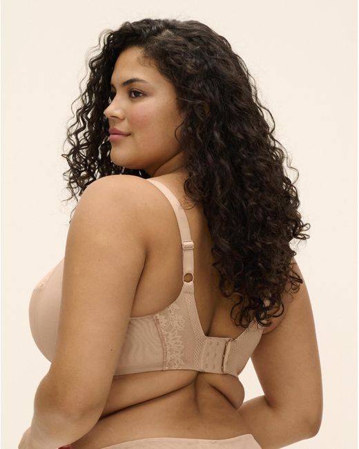 Elomi Brown Nerina Plunge Wired Bra