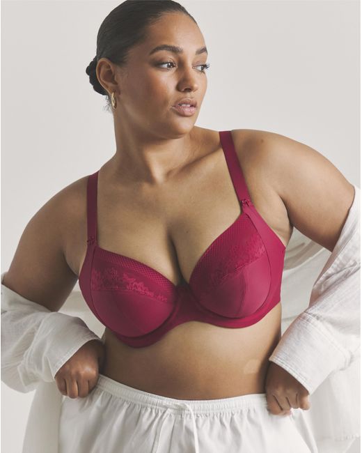 Elomi Nerina Plunge Wired Bra