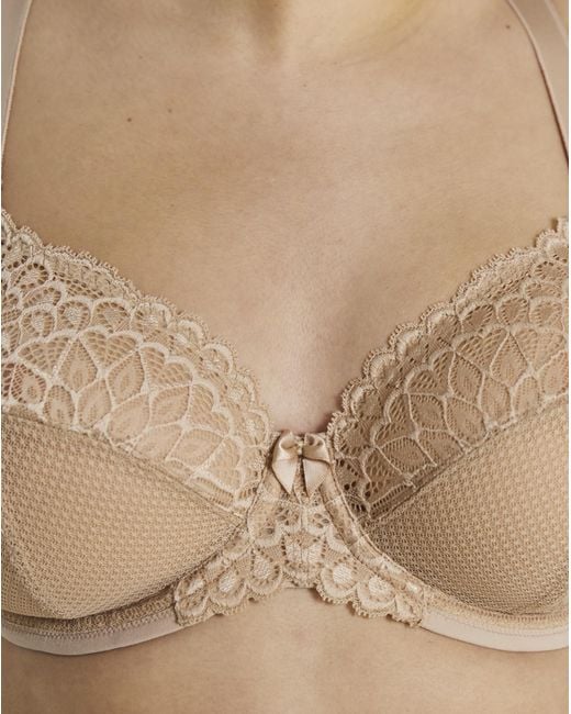 Elomi Brown Tiernie Plunge Wired Bra