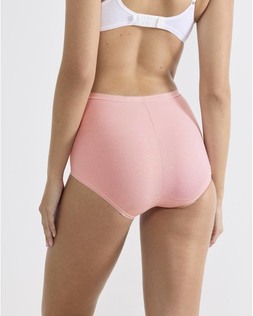 Sloggi Pink 6Pk Basic Maxi Briefs Multi