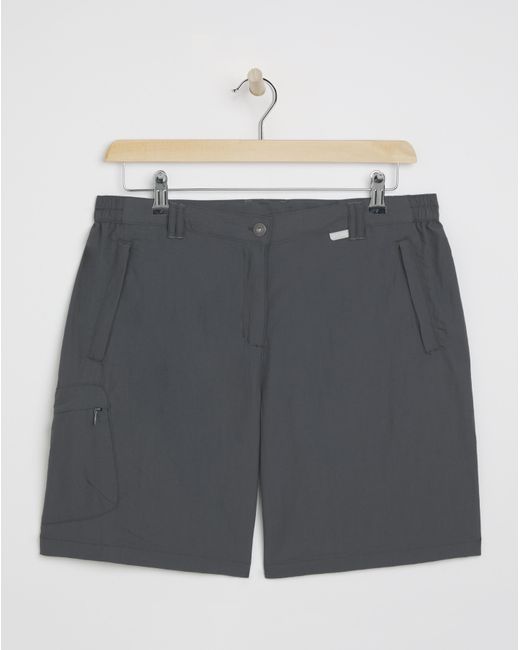 Regatta Gray Chaska Shorts Ii