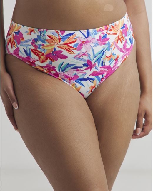 Elomi Brown Savaneta Mid Rise Bikini Brief