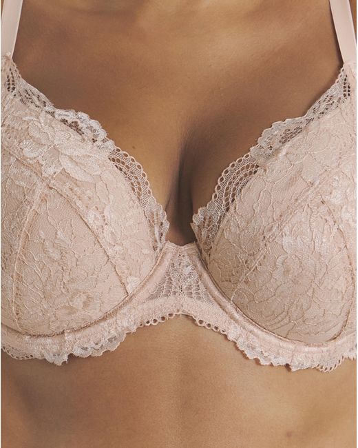 Pretty Secrets Brown 2 Pack Ella Padded Plunge Bras