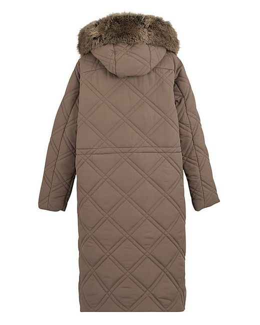 Regatta Brown Freyla Coat