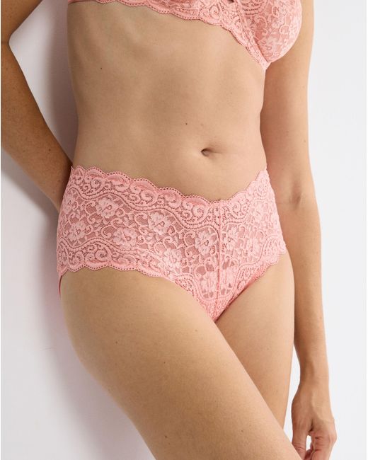 Triumph Multicolor Amourette Maxi Briefs