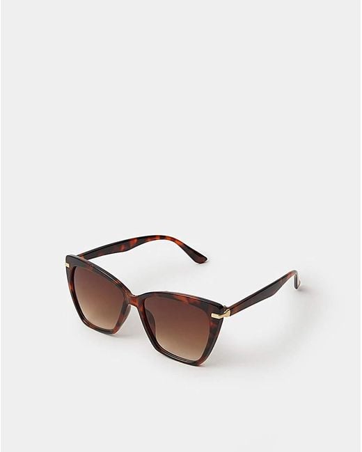 Accessorize Multicolor Arm Cateye Sunglasses