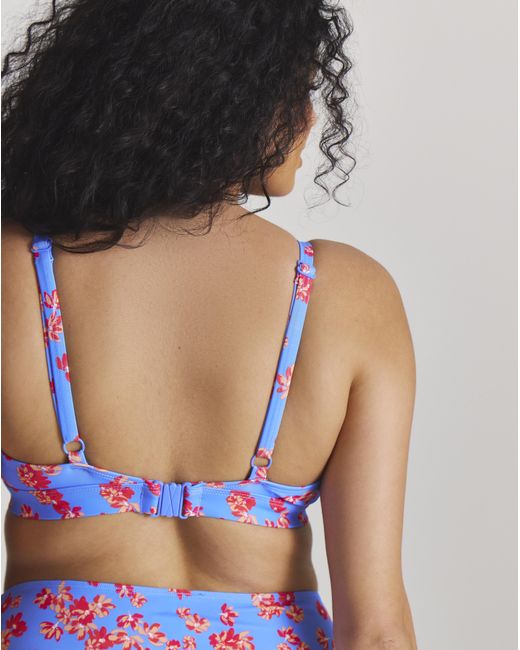 Simply Be Blue Value 2 Pack Plunge Bikini Tops