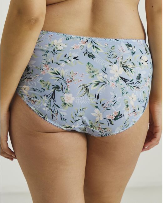 Goddess Multicolor Kayla Full Fit Knicker Cornflwer