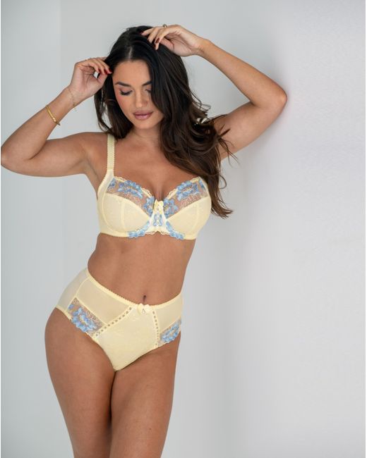 Pour Moi Brown Pour Moi Sofia Deep Knicker