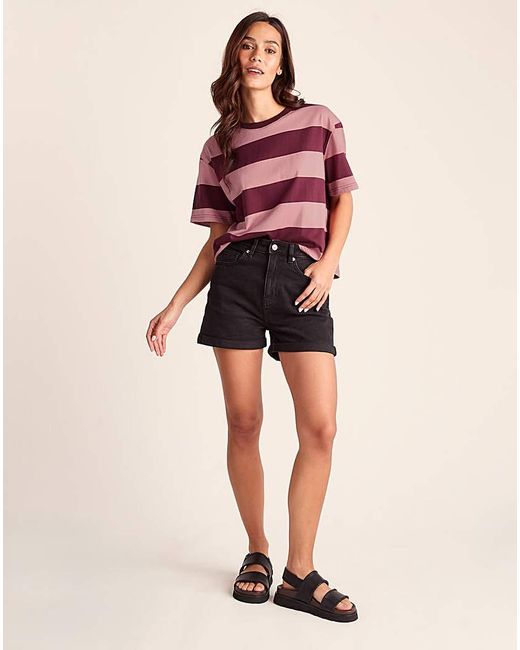 TOG24 Multicolor Tog24 100% Cotton Supersoft T-Shirt