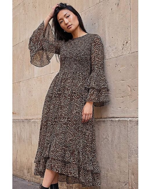 Roman Brown Roman Animal Frill Sleeve Midi Dress