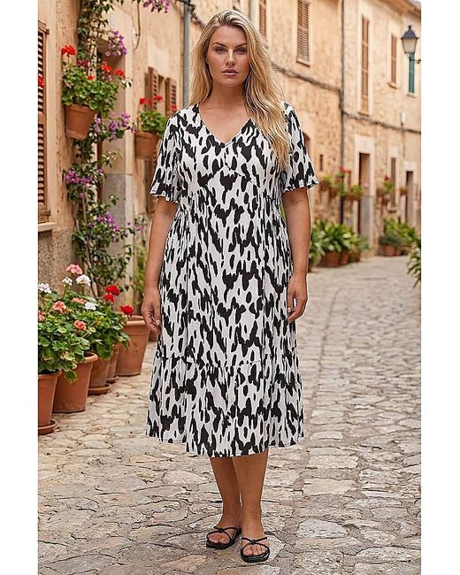 Roman Curve Brown Spot Print Midi Dress