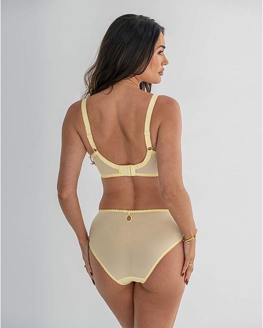 Pour Moi Brown Pour Moi Sofia Full Cup Bra Lemon/Blu