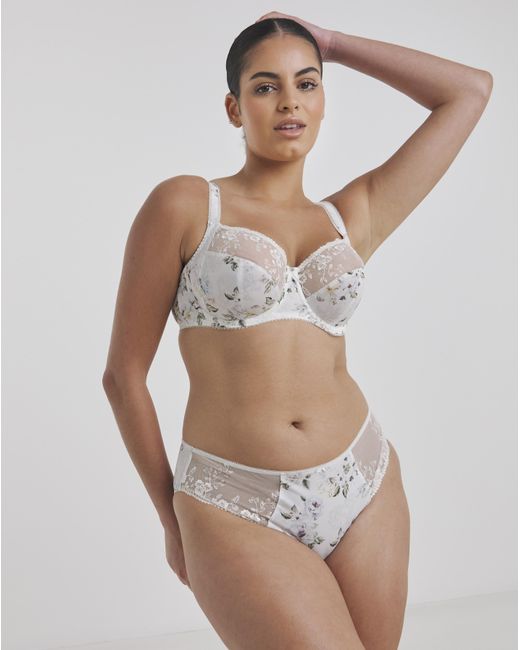 Fantasie Brown Lisbeth Full Cup Bra