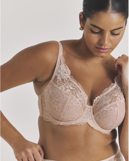 Pretty Secrets Brown 2 Pack Ella Full Cup Wired Bras