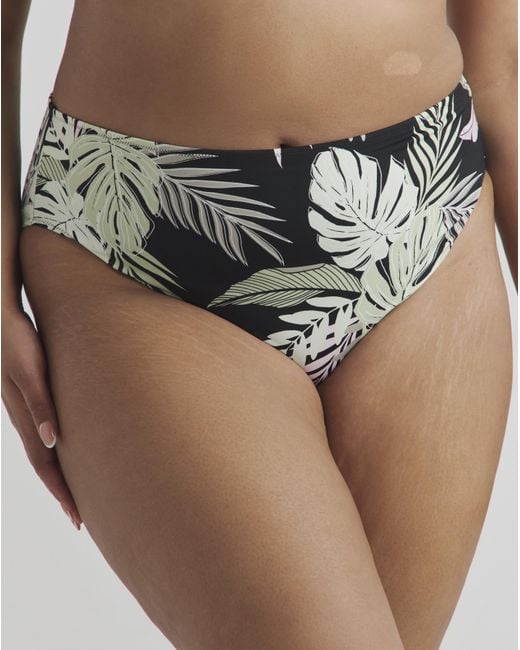 Elomi Black Tropical Retreat Bikini Brief
