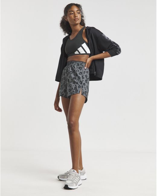 Adidas Multicolor Leopard Print Short