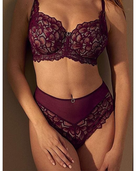 Panache Purple Allure Deep Brief