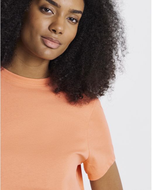 Simply Be Black 2 Pack Curved Hem Longline Tees