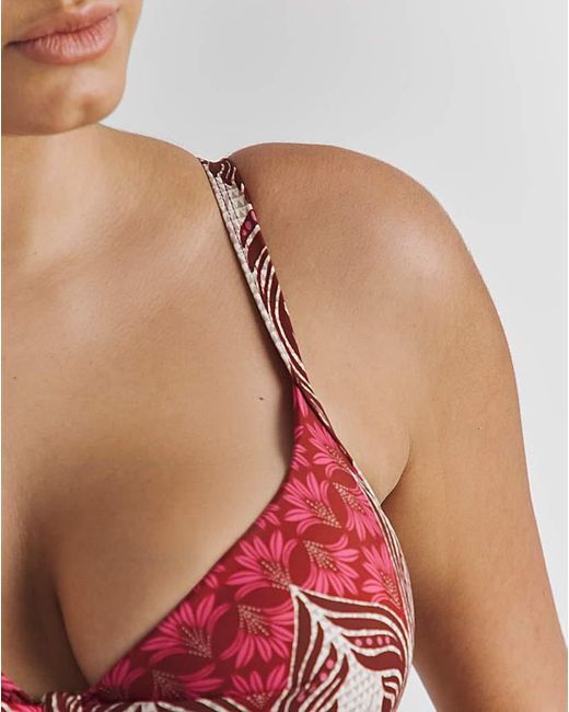 JD Williams Brown Underwired Bikini Top