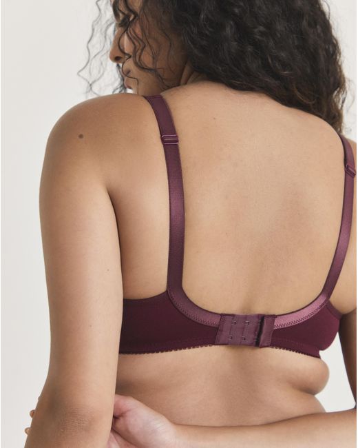 Pretty Secrets Multicolor 2 Pack Sally Minimiser Non Wired Bras