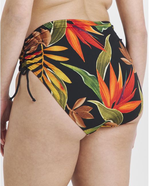 Fantasie Pink Pichola Hi Waist Bikini Brief