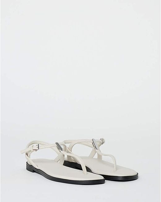 JD Williams Brown T Bar Hardware Sandals Extra Wide
