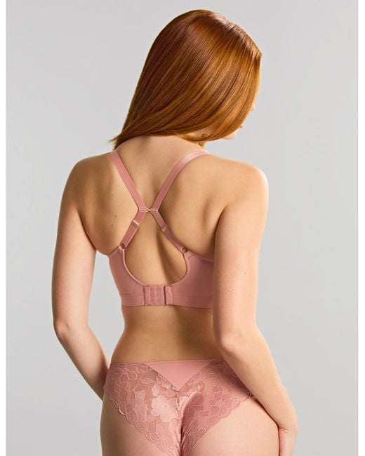 Panache Brown Amour Non Wired Soft Padded Bra