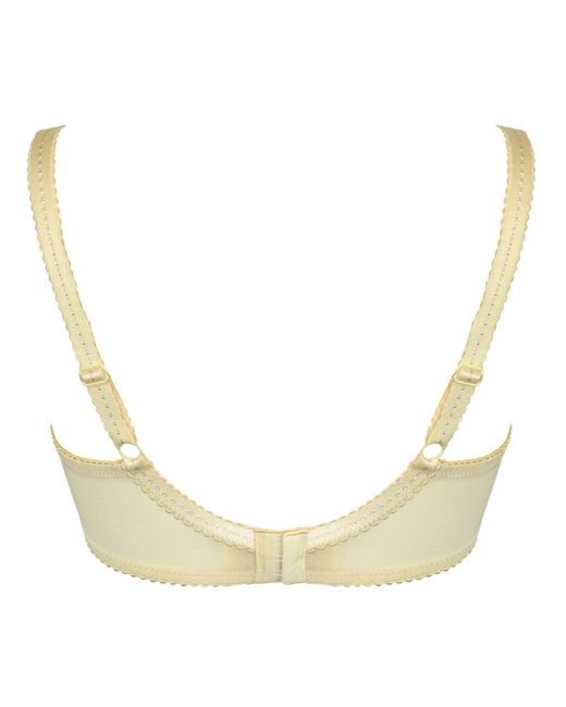 Pour Moi Brown Pour Moi Sofia Full Cup Bra Lemon/Blu