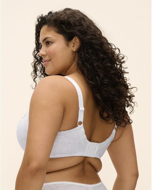 Elomi Blue Lucie Plunge Wired Bra