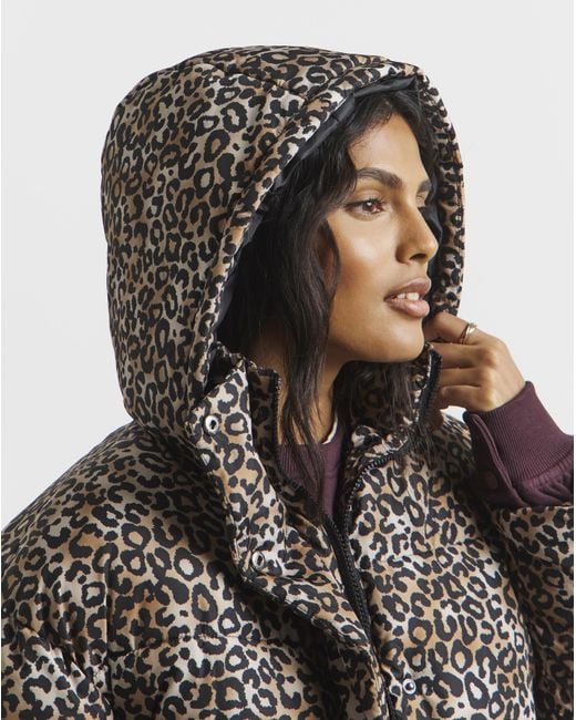 Simply Be Blue Print Padded Coat With Hood