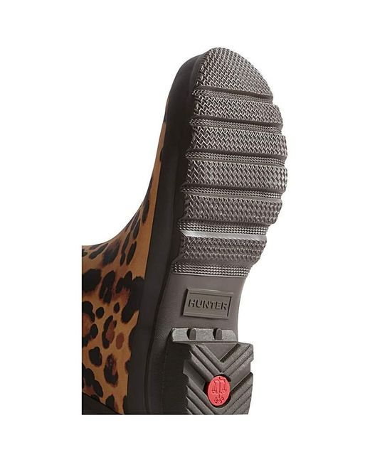 Hunter Brown Original Tall Leopard Boot