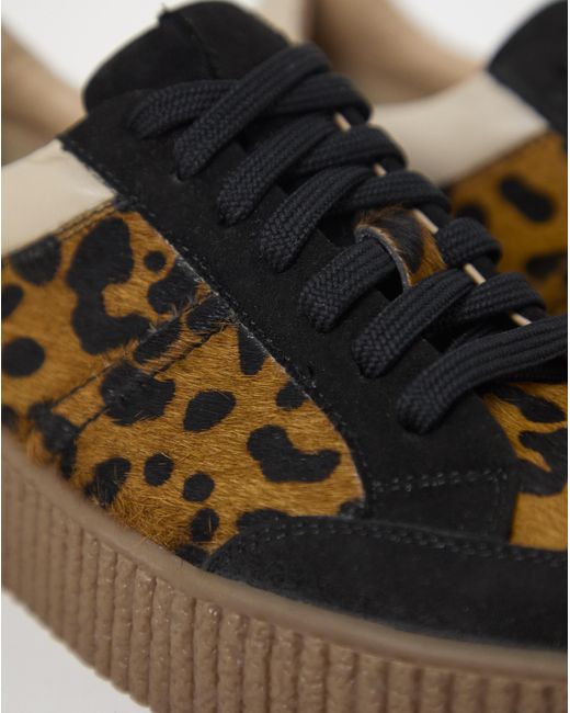 Simply Be Blue Chunky Lace Up Trainer Extra Wide