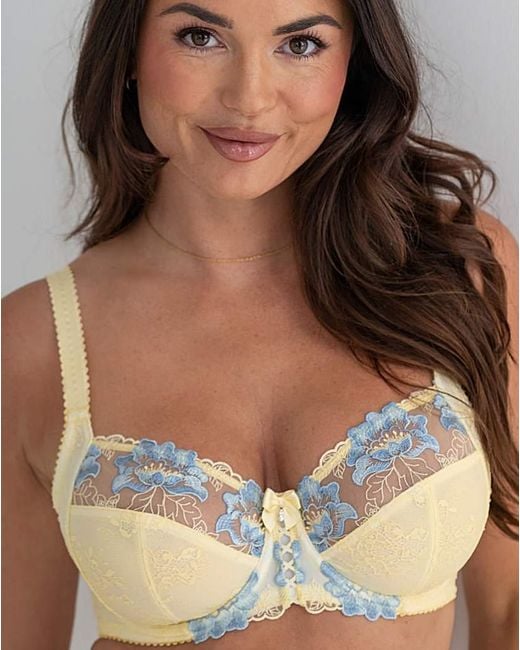 Pour Moi Brown Pour Moi Sofia Full Cup Bra Lemon/Blu