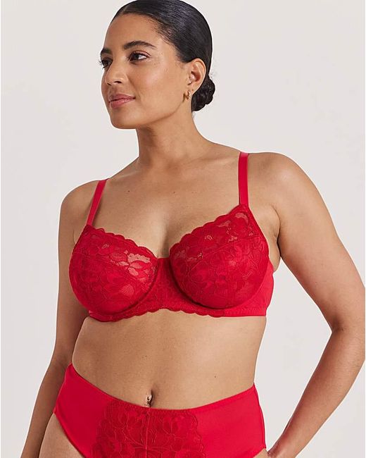Pretty Secrets Ivy Basic Lace Full Cup Wired Bra