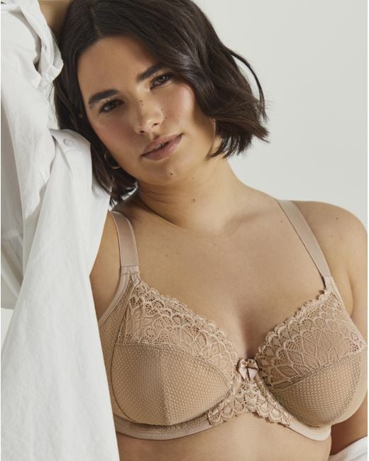 Elomi Brown Tiernie Plunge Wired Bra