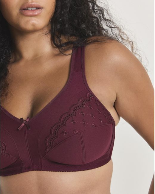 Pretty Secrets Multicolor 2 Pack Sally Minimiser Non Wired Bras