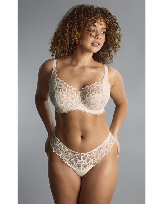 Panache Gray Allure Full Cup Wired Bra