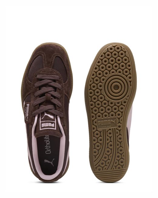 PUMA Brown Palermo Vintage Suede Trainers