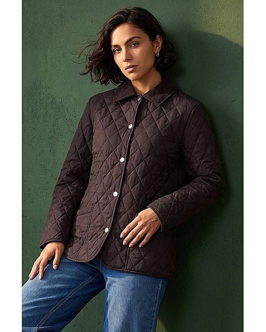 Roman Green Roman Quilted Collar Jacket