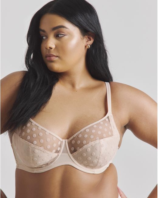 Pretty Secrets Multicolor 2 Pack Hannah Everyday Spot Mesh Bras