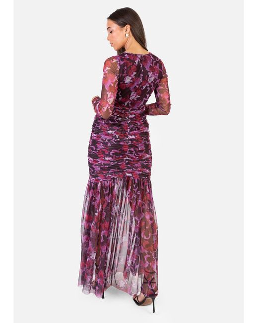 Anaya with love Red Anaya Printed Dress